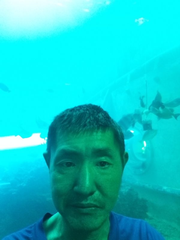 陸戰隊的第一张照片--三明相亲服务中心