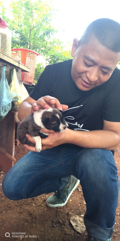 深圳相亲的第一张照片--三明相亲服务中心