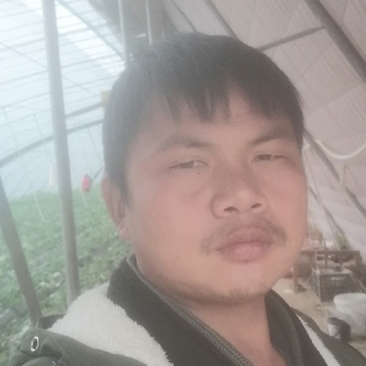 孤狼‘的第一张照片--三明相亲服务中心