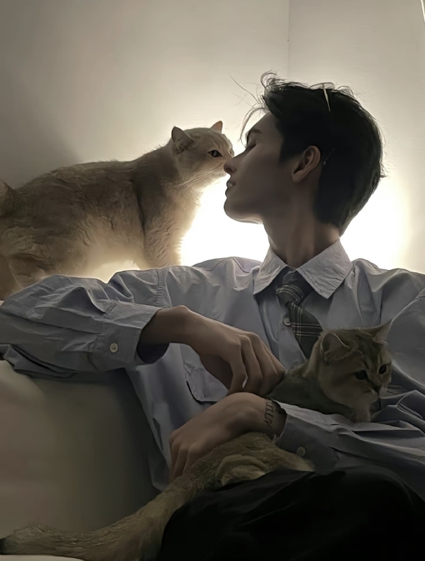 怪猫的第一张照片--三明相亲服务中心