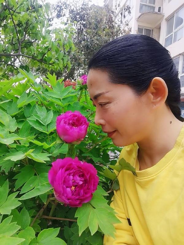 厚德载物的第一张照片--三明相亲服务中心