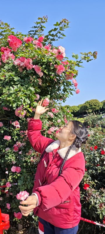 狗狗的第一张照片--三明相亲服务中心